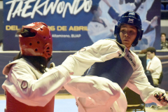 J-Taekwondo_1