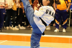 K-Taekwondo