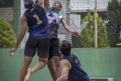 LHL_7590