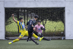 LHL_8141
